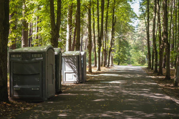 Best High-end porta potty rental  in Upper Ack, NY